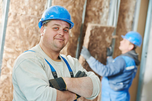 Best Insulation for New Construction  in Marshall, IL